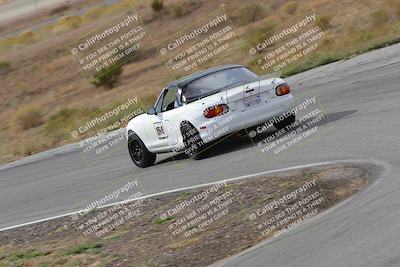 media/Nov-18-2023-Extreme Speed (Sat) [[10c227f63a]]/2-Green/Rear shots/